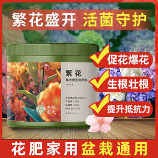 满天星专用肥通用花卉肥料繁花复合肥水溶肥家用盆栽月季玫瑰绣球