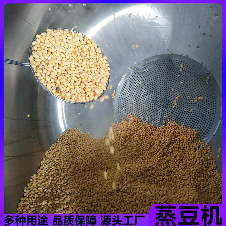 全自动不锈钢天贝蒸煮设备蒸汽加热纳豆黄豆蒸豆机酿醋粮食蒸煮锅