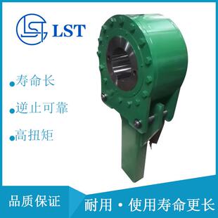 190配套大型倾斜带式 逆止器DSN038 170DSN038 输送机