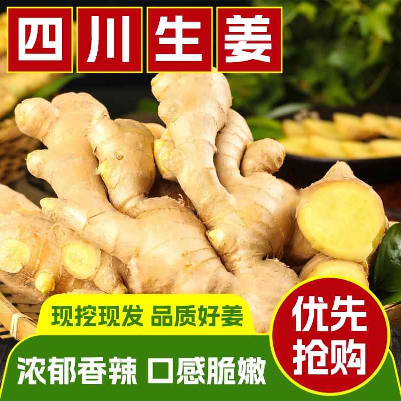 四川有机新鲜生姜现挖小黄姜月子姜沙姜老姜南姜整箱时令蔬菜
