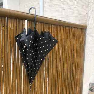 高档i风太n伞文学防晒雨或遮荫乙烯基自古动长柄阳伞波尔卡圆点覆