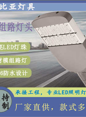 厂家批发led户外防水照明LED100W150W200W250W市电路灯模组路灯头