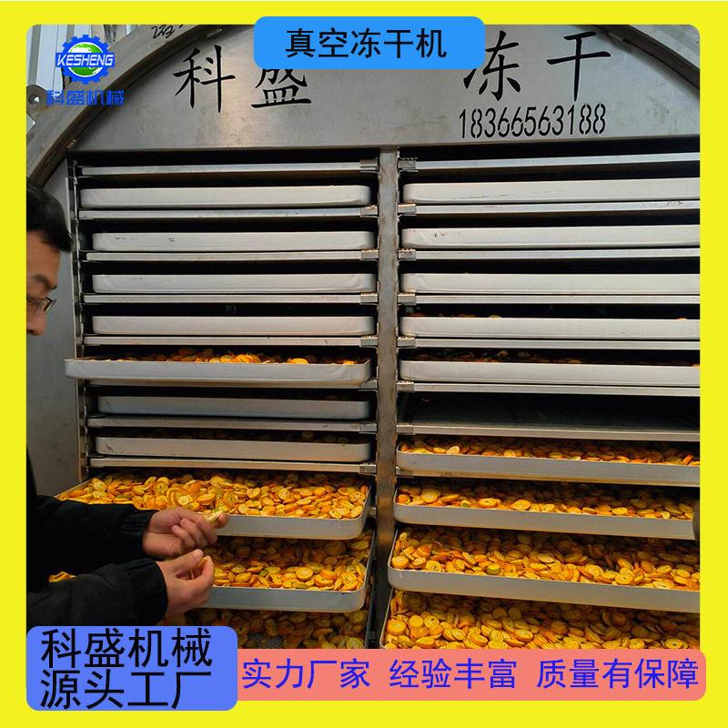 银耳羹真空冻干机 即食营养粥低温冷冻干燥机 桑葚无花果冻干设备