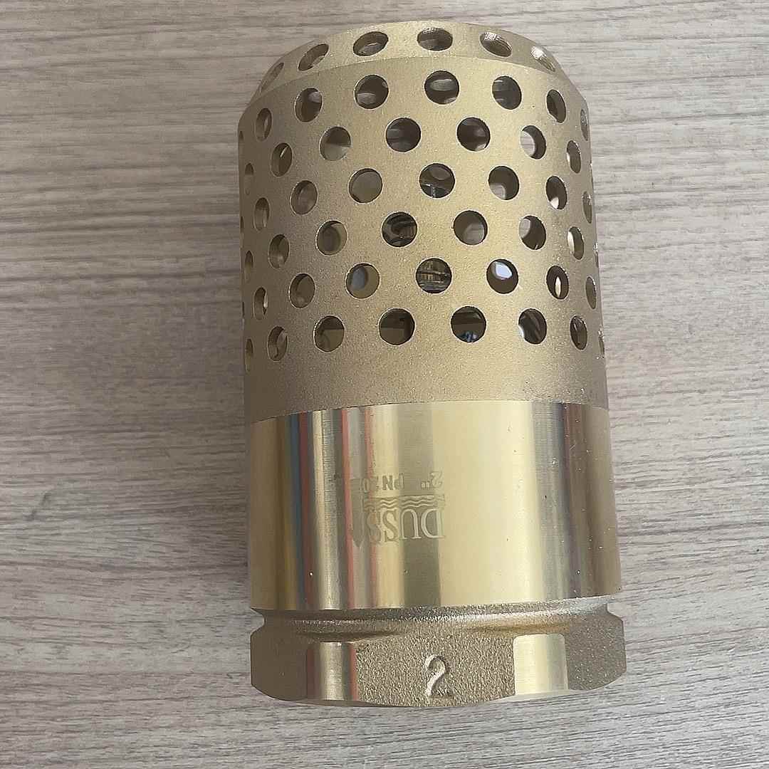 全铜网铜底阀吸水泵弹簧立式止回阀防倒流立式底阀DN20dn25井底阀