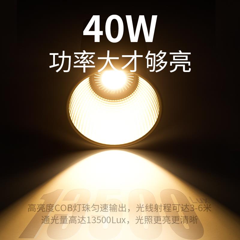 40W掌上COB补光灯双色温直播拍摄人像柔光灯小巧便携外拍灯聚光灯