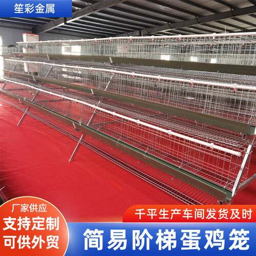 热镀锌3层叠式阶梯式5门蛋鸡笼子家禽养殖场双边食槽蛋鸡笼设备