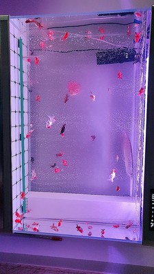 谁用过YEE大型鱼缸水族箱怎么样?坑不坑人曝光?