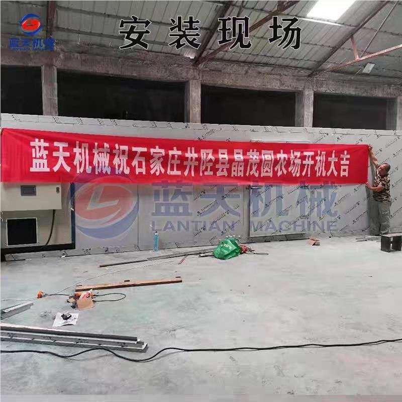 大红梅杏型脯烘干机杏 无核干杏肉吊干烘干LT-HMXZH房 红杏干黄金