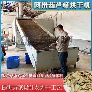 新疆葫芦籽烘干机全自动吊瓜籽白瓜子烘干设备网带打瓜子干燥机