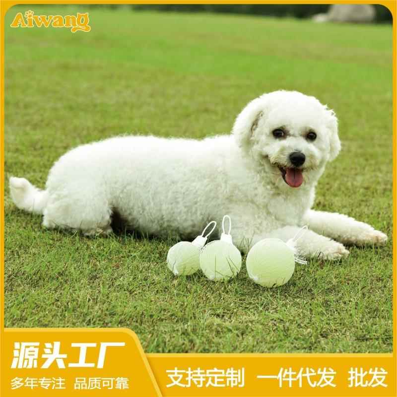 宠物球弹力夜光球狗狗玩具耐咬小中大型犬磨牙宠物夜光弹力球