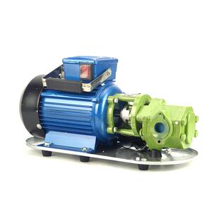 WCB齿轮油泵自吸抽油泵220v手提高粘度液压油泵机油煤柴油齿轮泵