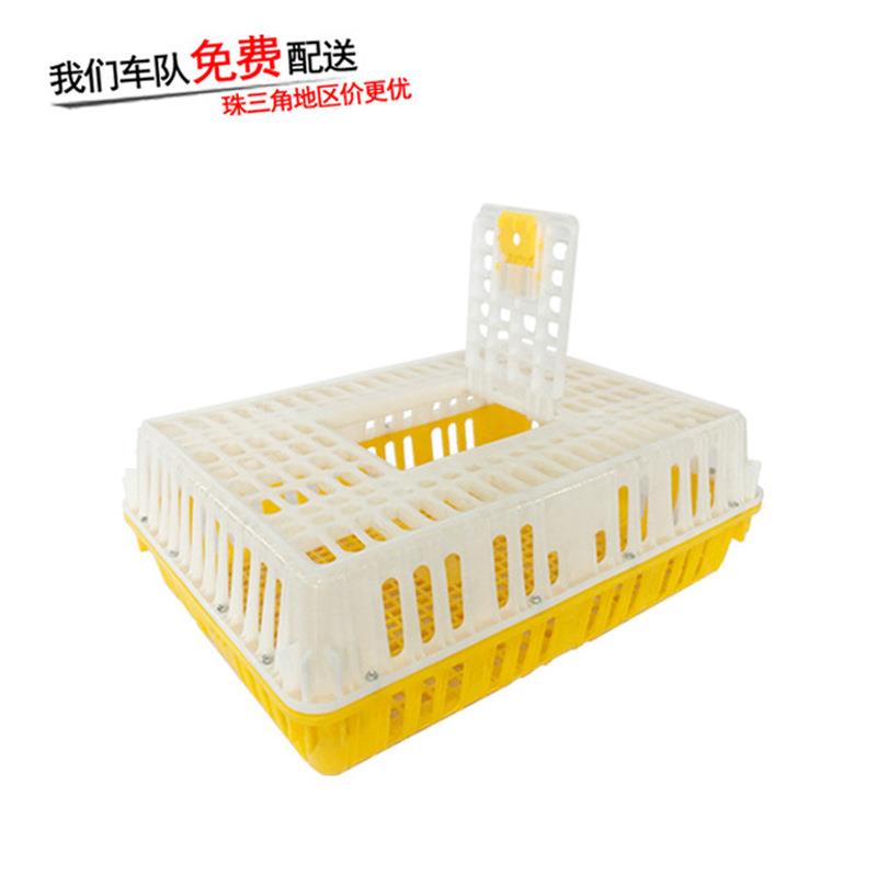 塑料鸡笼加厚鸡笼周转筐家用鸡养殖笼蛋鸡笼厂家