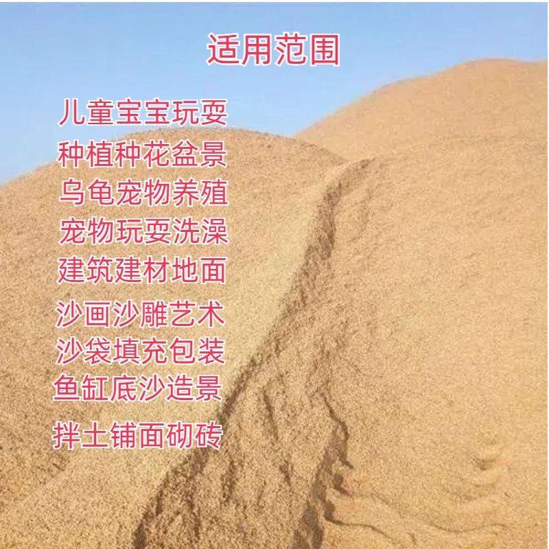 黄沙用做滩细沙干净沙养花子筛选天然铺底优质河沙建筑铺地板底砂
