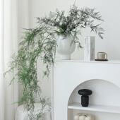 饰拍 插花装 天然文竹干 干燥花花束客厅摆设永生花高级感真花中式