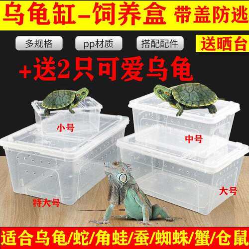 乌龟专用缸特大号带盖子防逃逸晒台养龟盆塑料龟缸箱别墅