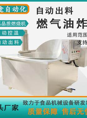 天然气油炸机自动控温青豆油炸机器狮子头茄子块油炸锅设备制造商