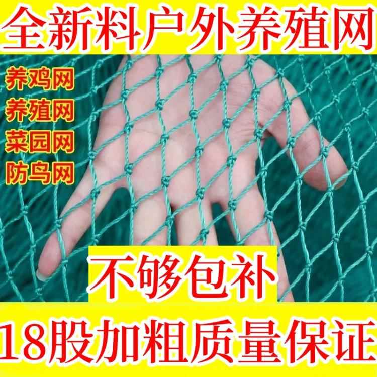 18股3厘米孔养鸡网加粗家禽养殖网菜园网拦鸡网鸭鹅网养鸡围栏网