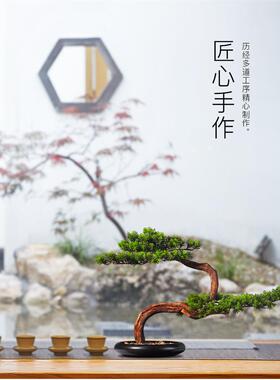 迎摆客松件盆景仿植物栽中真式客厅玄关电视柜茶桌M00098禅意装饰