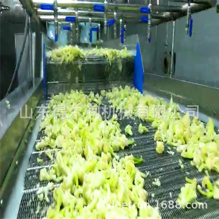 山东得尔润机械 秋葵蒸煮漂烫杀青护色机 蔬菜花杀菌灭菌生产线