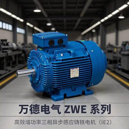 万德电机ZWE效三相异步感应电动机/WONDER福建万达