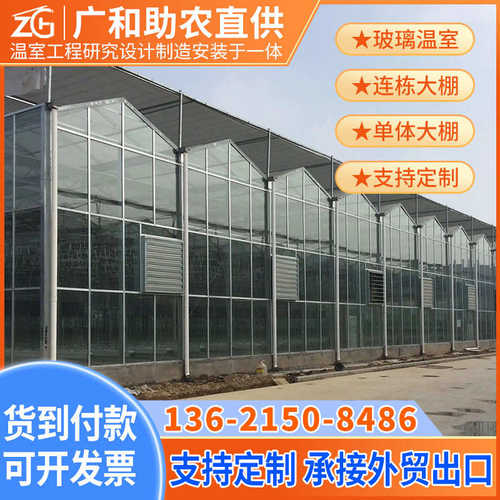 温室大棚蔬菜玻璃温室大棚养殖种植栽培智能厂家直供育苗农业观光