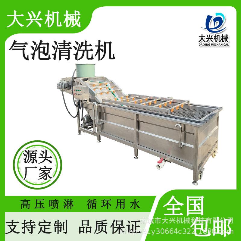 全自动气泡水果清洗机山楂苹果清洗设备瓜果葡萄桃子大型洗果机