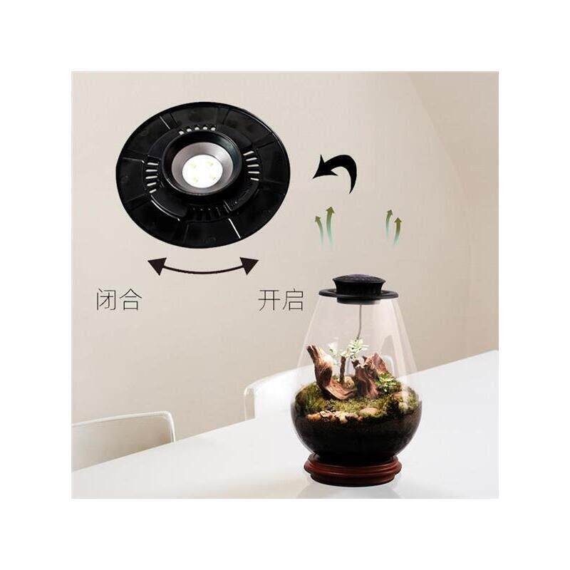 植物灯UFO微景观补光灯苔藓生态瓶灯led植物生长灯创意生命之树灯