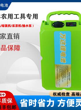 锂电池24v48V割草机剪枝采茶机抽水泵60v园林工具通用揹负式电瓶