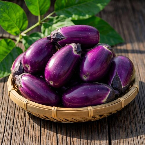 湖南新鲜蔬菜时令露天本地茄子