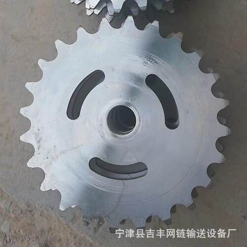 销售04不锈钢链轮非标节距链轮双节距不锈钢碳钢链轮