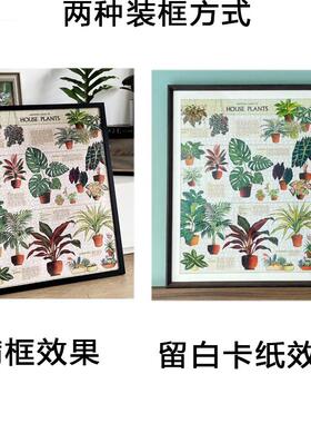 7055拼图框挂墙Cavallini美式覆古植物园花卉1000片500片相框裱框