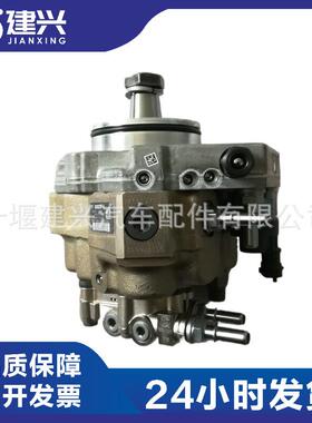 康明斯ISDE ISBE 发动机 燃油泵 5258264 0445020137 0445020152