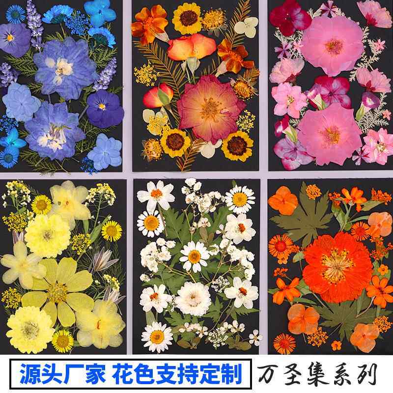 压花diy干花贴脸化妆押花材料真花压花手工滴胶相框书签材料包