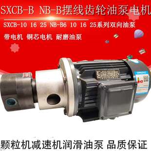 B16 SXCB 4双向齿轮泵NGWB 25摆线齿轮油泵电机NB
