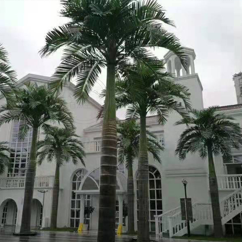 定制户外大树子树饰棕榈树主题乐商场装玻889280园璃钢椰大树