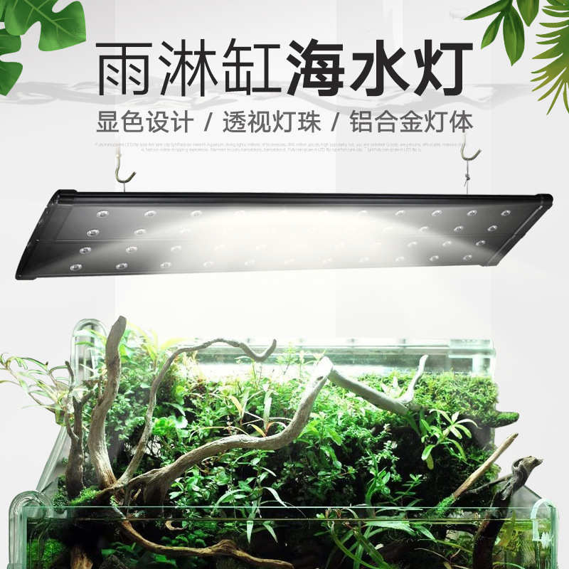 奥德赛LED灯evo鱼缸灯雨林缸水草缸鱼缸海水灯珊瑚灯架灯3W全光谱