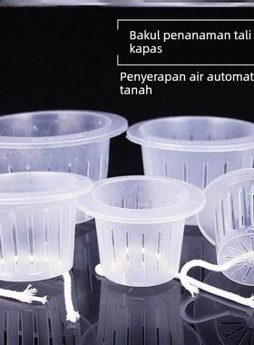 水培花盆内篮塑料水养植物控根定植篮种植篮绿萝吊兰器皿圆形