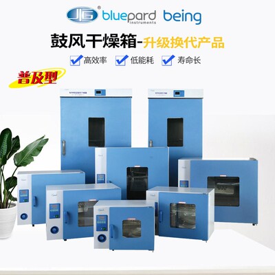 上海一恒DHG-9030A/9140鼓风干燥箱实验室烘干箱电热恒温烘箱工业