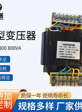 直供 R型电源隔离变压器R-800型800WVA音频变压器单相隔离变压器