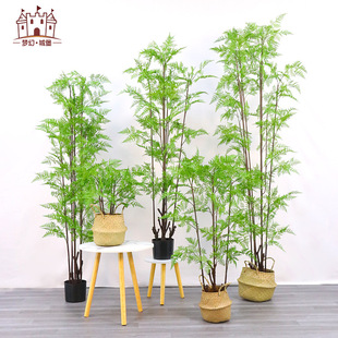 盆景仿YNZ真 饰假绿植北室内摆件 i仿真植物马尾蕨家居装 欧ns风格