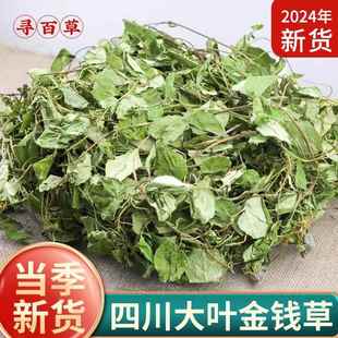 寻百草四川野生大叶金钱草中草药干草药金前草中药材茶过路黄500g