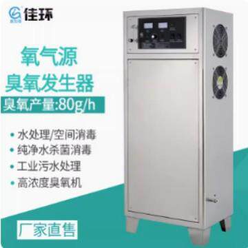 氧气源80g臭氧发生器桶装水灌装纯净水饮用水质消毒处理臭氧机