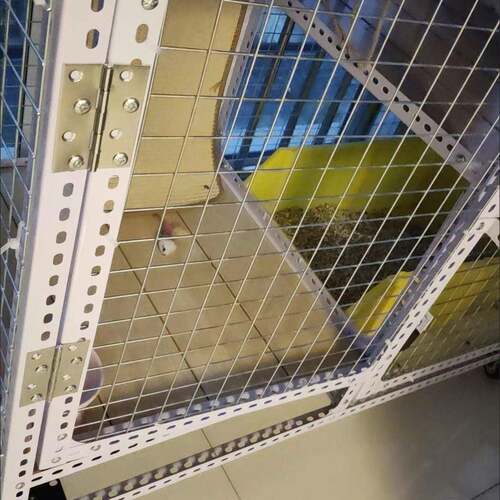铰链铰链万能角钢专用铰链万能角钢宠物鸽笼鸽舍鸟笼专用铰链通用