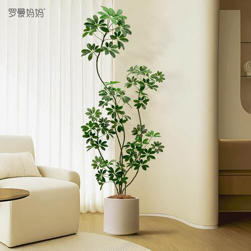 高端轻奢鸭脚木彷真绿色植物室内客厅大盆栽罗曼妈妈彷生植物落地