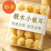 特级椴木小银耳新货野生糯耳羹出胶雪耳古田干 干货白木耳无硫丑