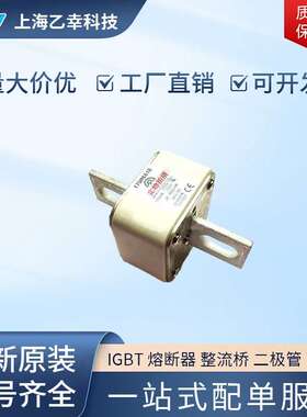 巴斯曼熔断器 170M6647 170M6648 170M6649 170M6650 170M6651