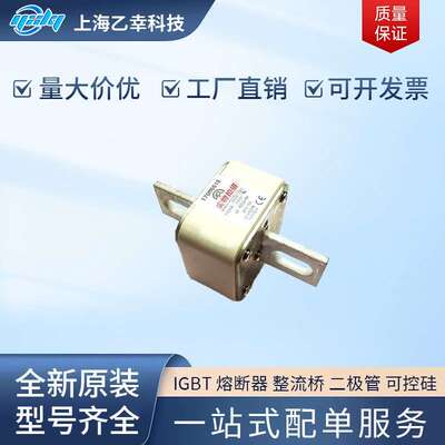 巴斯曼熔断器 170M6647 170M6648 170M6649 170M6650 170M6651
