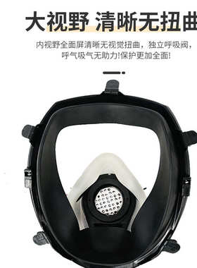 CF02防毒面罩球形三接口劳保防化工毒烟毒气大视防尘头戴式全面罩
