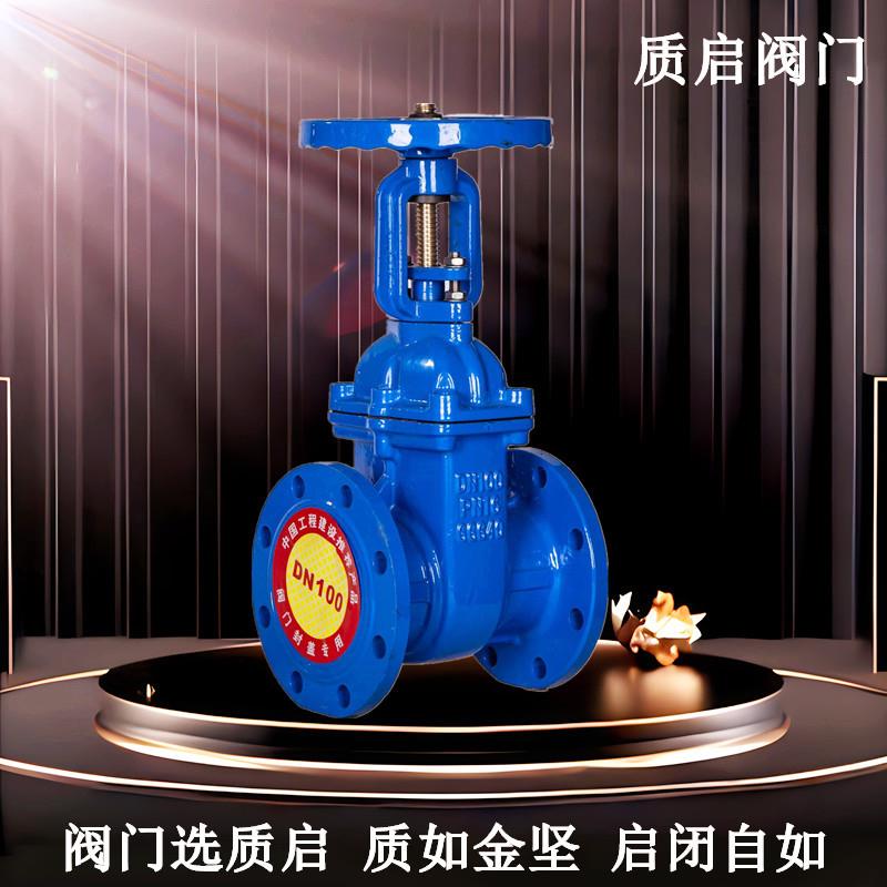 Z41X-16Q法兰软密封明杆闸阀泉州质启弹性座封闸阀法兰橡胶阀DN50
