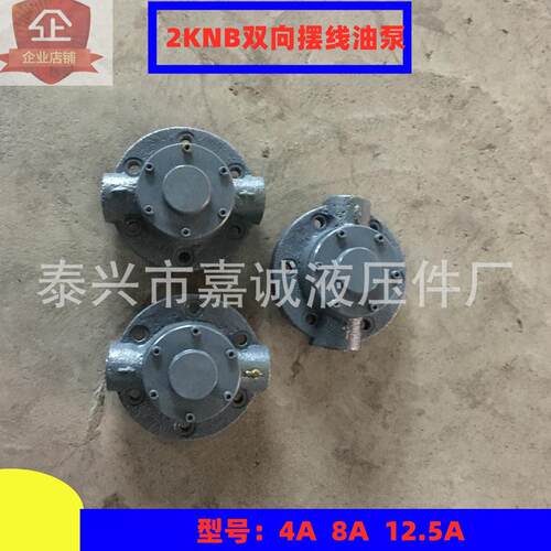 TOP-2RA减速机配件 2KNB摆线齿轮油泵 润滑泵厂家